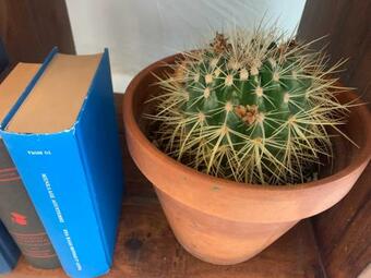 Apartamento Axiri