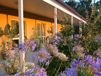 Bed & Breakfast Wallaby Ridge Retreat