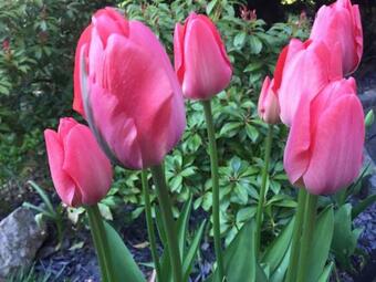 Apartment In Schauenstein - Franken 40833