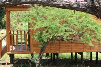 Igula Lodge