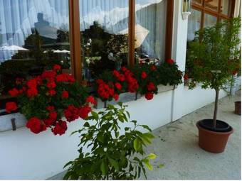 Hostal Das Alpensee