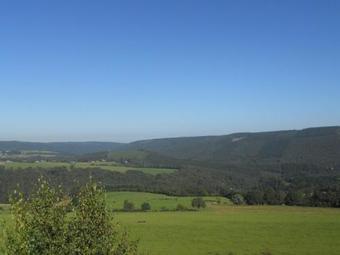 Le Vieux Chene