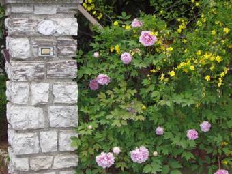 B&B Il Glicine