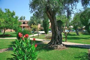 Hotel Delfinia