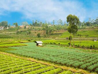 Ver fotos