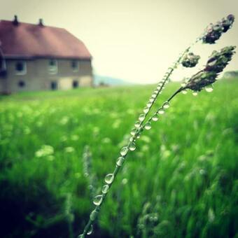 Urtica Apartm�ny