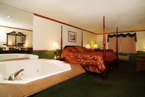 Hotel Best Western Bluffview Inn & Suites