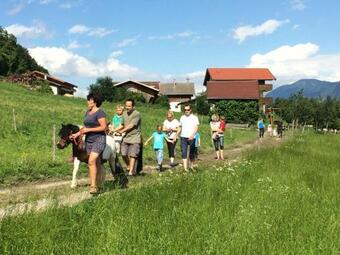 Apartamento Ferienwohnungen Plattnerhof