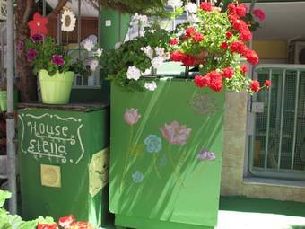 Ver fotos