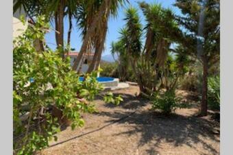 Villa Yucca Palm