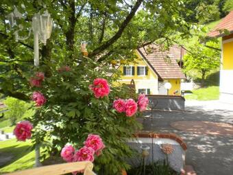 Buchschneider - Ferienhaus Maier - Landhof
