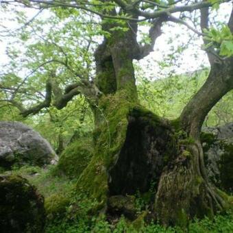 Apartamento Country Home Genesi 20 Min From Trikala