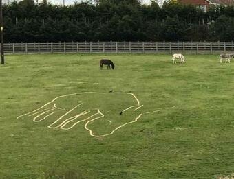 Ver fotos