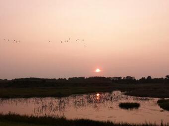 Siedlisko Orzech�wko