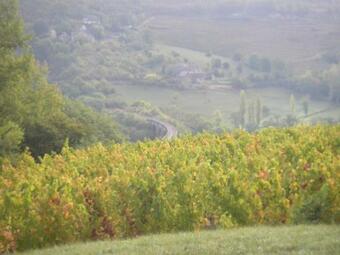 Maison Isol�e Dans Les Vignes Et Les Bois