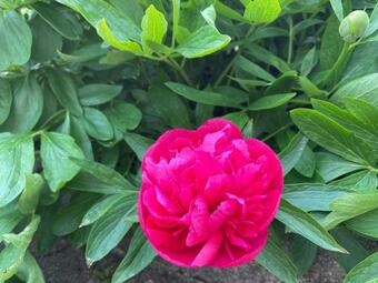 Au Coeur De Charroux