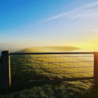 Ver fotos