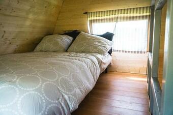 Cabane Dans L Arbre