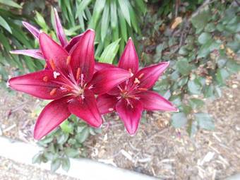 Apartamento Guesthouse Mountain Escape