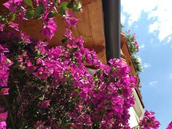 Hotel Castel Mani