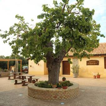 Agroturismo Al Grande Gelso