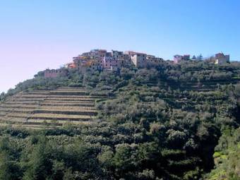 Montebello Bilo B