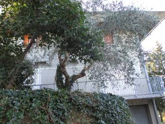 Tarcisio B&B