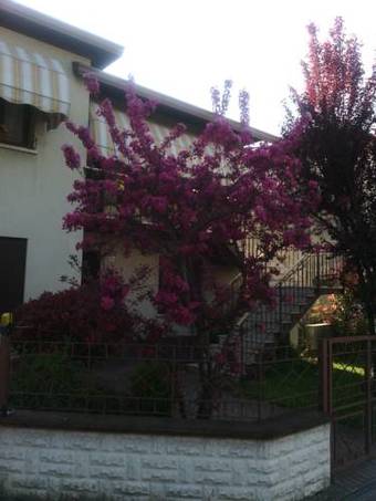 B&B Morosini