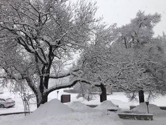 Sporthotel Spoegler
