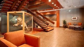 Hotel Best Western Golden Lion - Standard 2 Queens