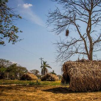 Hotel Los B�hos