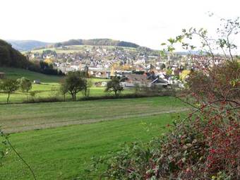 Restaurant & Hotel Zum Treppche