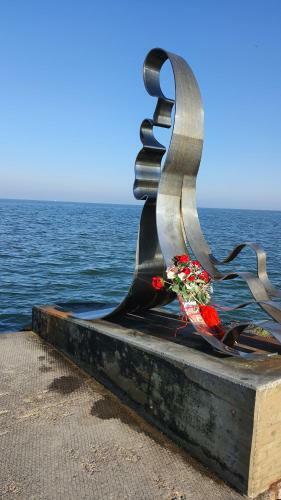 Ver fotos