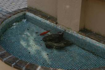 Hotel Albergo El Rancho