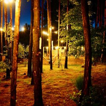 Bed & Breakfast My Tree Home Warszawa, Macierowe Bagno