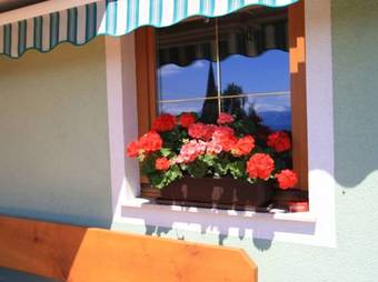 Apartment Rauscher 1