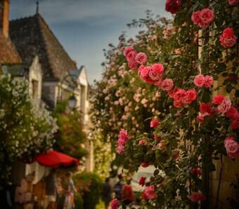Gite La Roseli�re Touraine