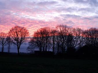 Bed & Breakfast De Veenborgh