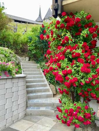 Bed & Breakfast Moserwirt Pension