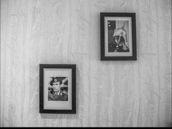 Ver fotos