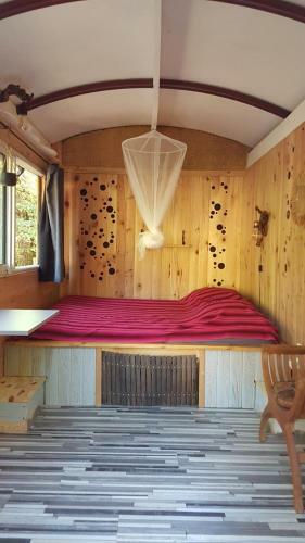 Ver fotos
