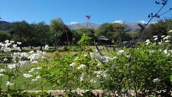 Hotel Las Dalias