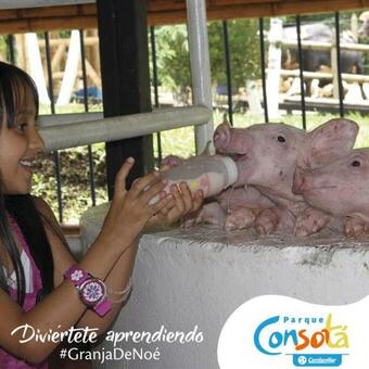 Ver fotos
