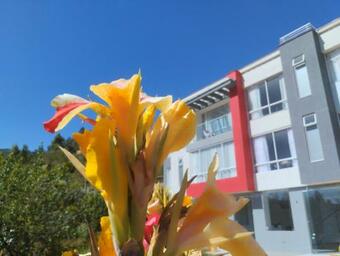 Ver fotos