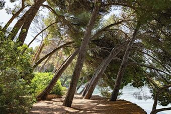 Ver fotos