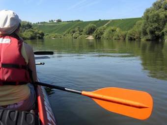 Hostal Pension Am Weinberg