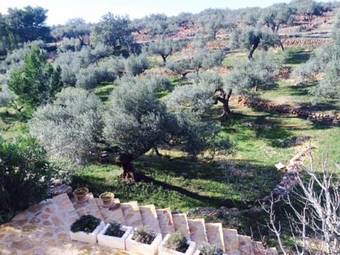 Agroturismo Country House Villafeliche