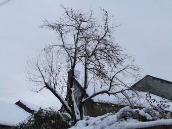 Agroturismo Casa Retiro De Xisto