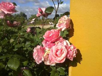 Villa O Vale Da Mudan�a