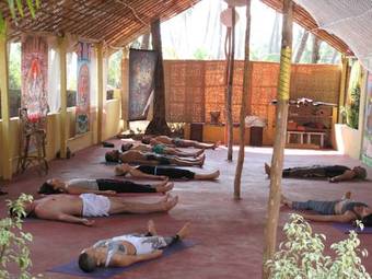 Free Flow Yoga
